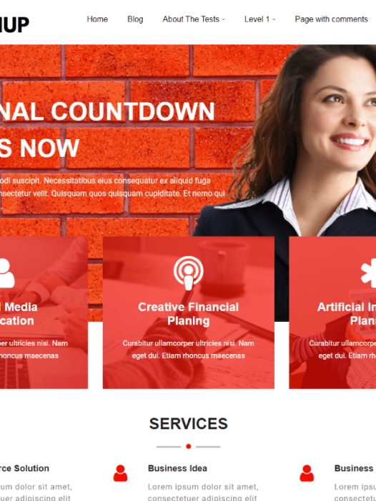 Techup WordPress 主题