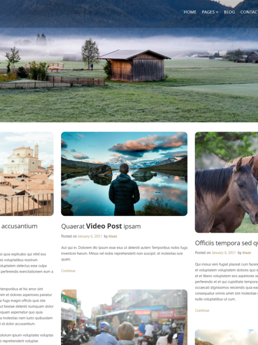 Blog Life WordPress 主题