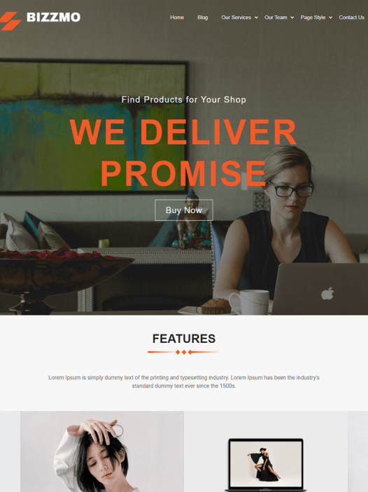 Bizzmo WordPress 主题