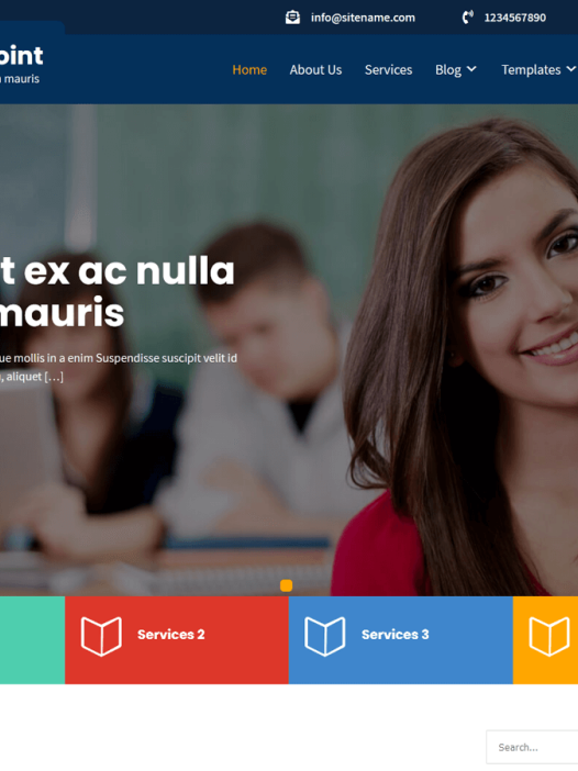 Learning Point Lite WordPress 主题