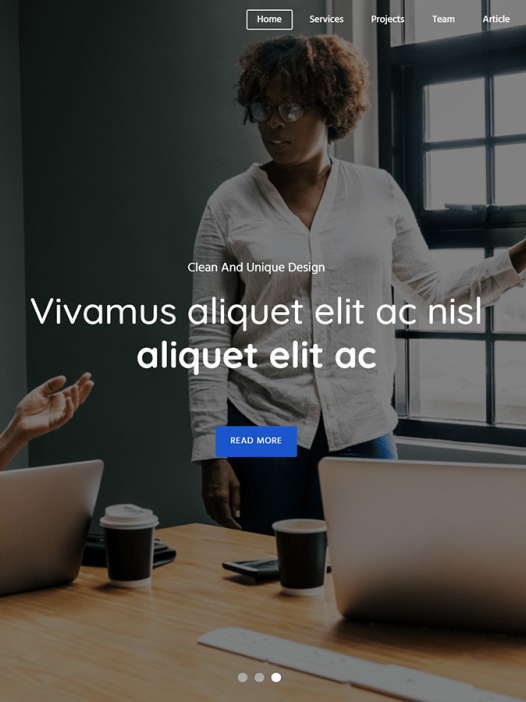 Bizart WordPress 主题