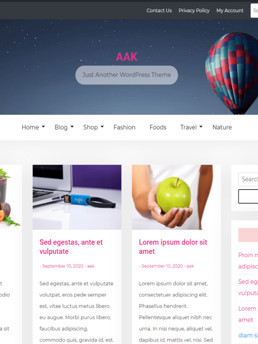Aak WordPress 主题