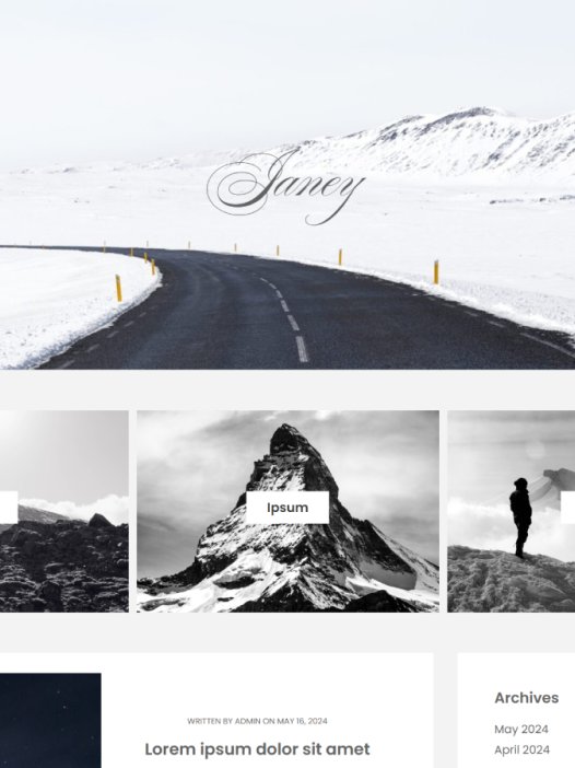 Janey WordPress 主题