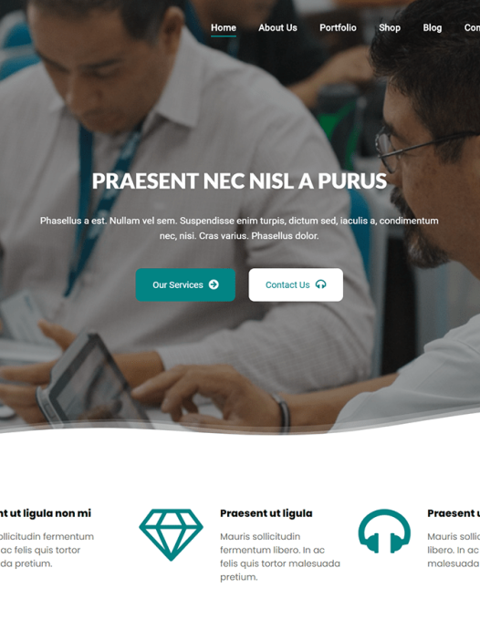 RareBiz WordPress 主题