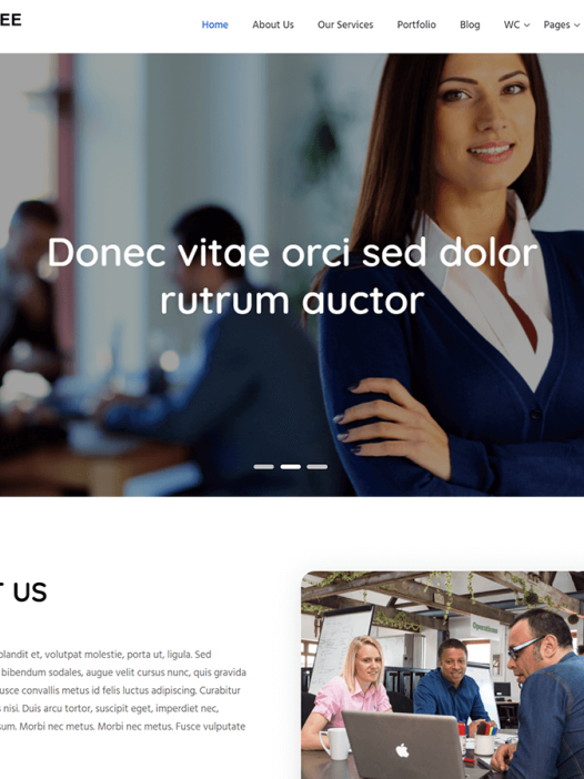 Fansee Business WordPress 主题