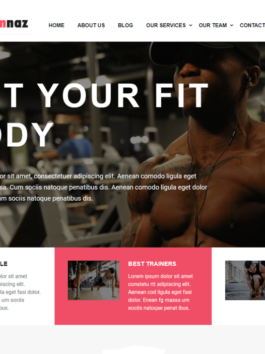 Gymnaz WordPress 主题