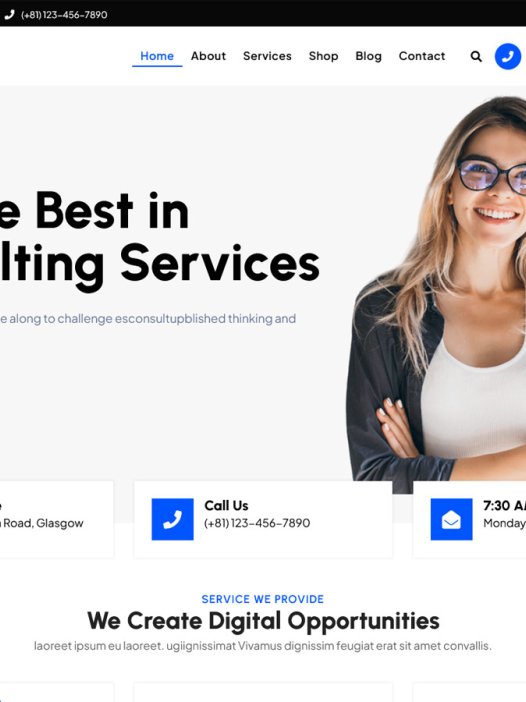 Agencyio WordPress 主题