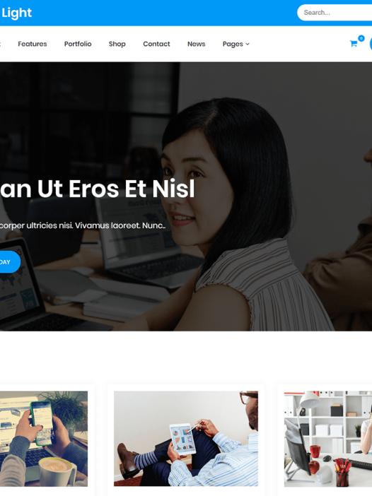 Gutenbiz Light WordPress 主题