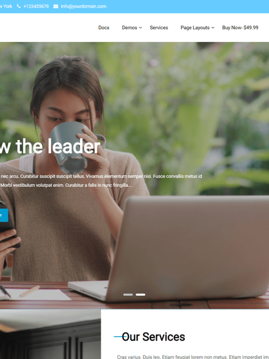 Bizline WordPress 主题