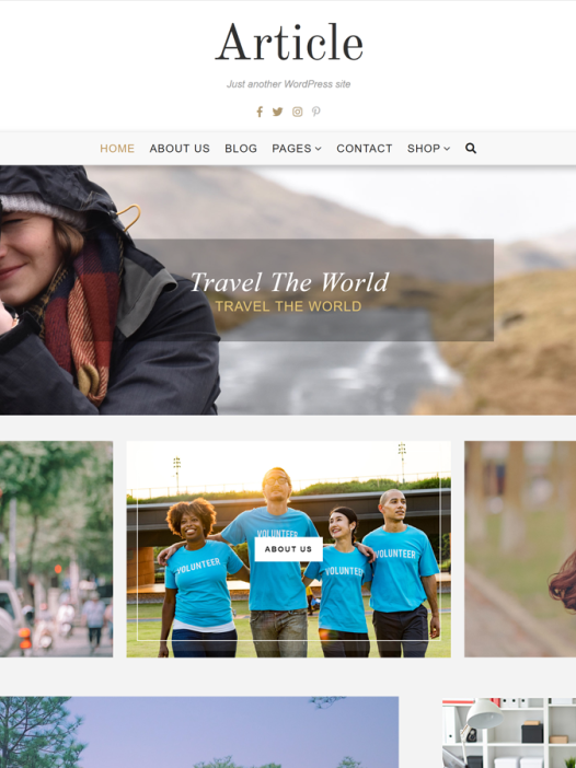 Article Lite WordPress 主题