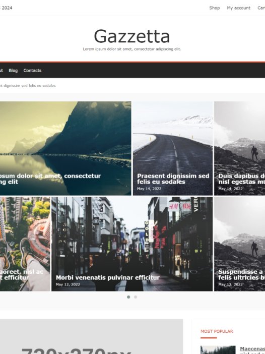 Gazzetta WordPress 主题