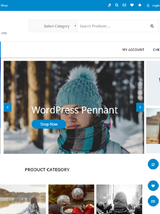 Agency Ecommerce WordPress 主题