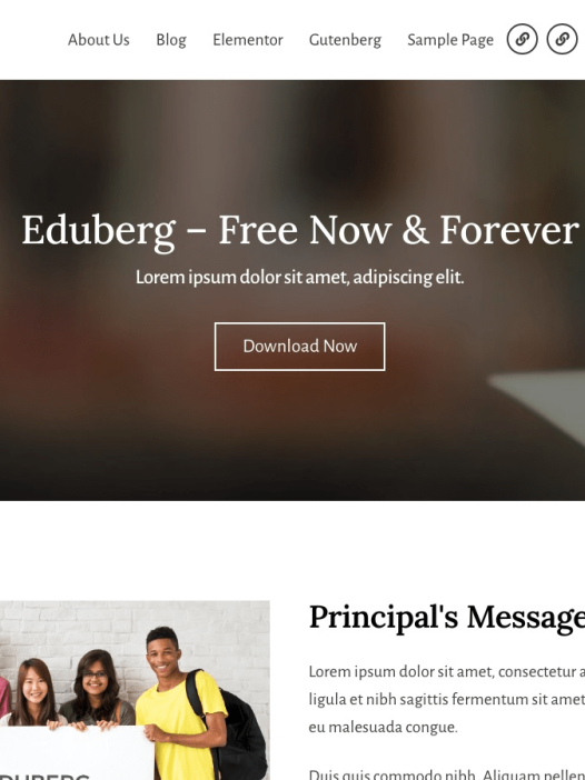 Eduberg WordPress 主题