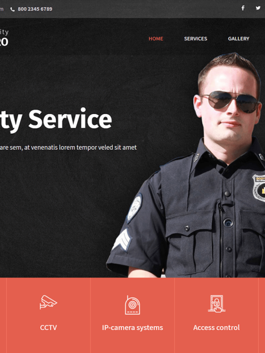SKT Secure WordPress 主题