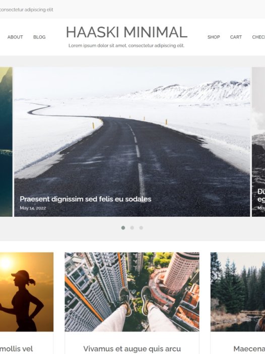Haaski Minimal WordPress 主题