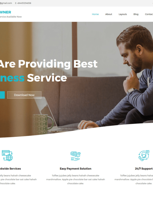 Business Owner WordPress 主题