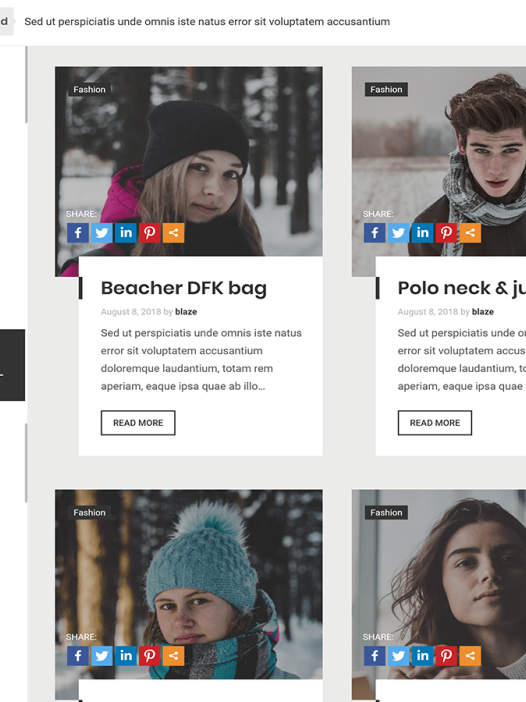 Styled Blog WordPress 主题