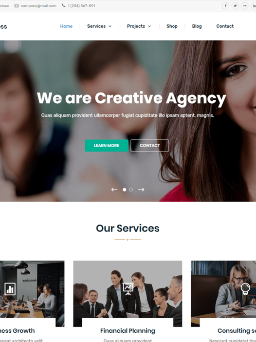 Multiple Business WordPress 主题