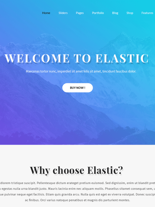 SKT Elastic WordPress 主题