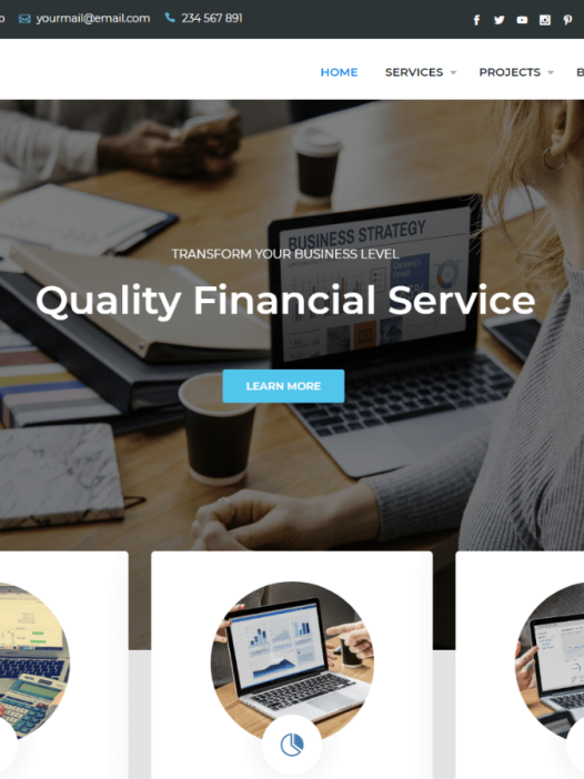 Finance Consultr WordPress 主题