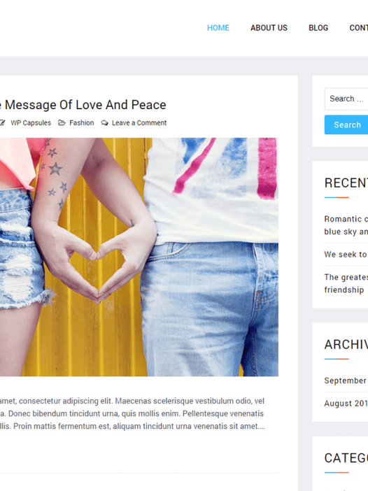 Blog Kit WordPress 主题