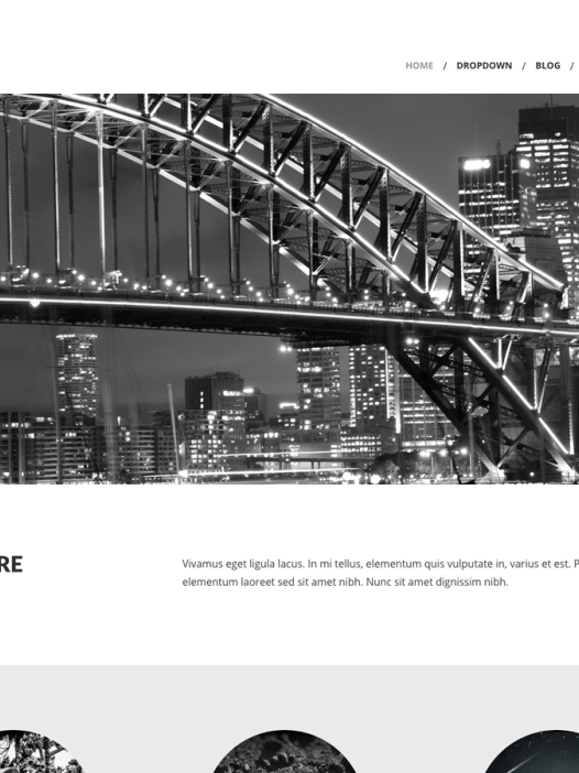 Kimbo Lite WordPress 主题