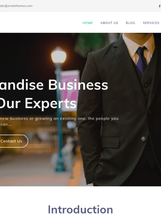 Texton WordPress 主题