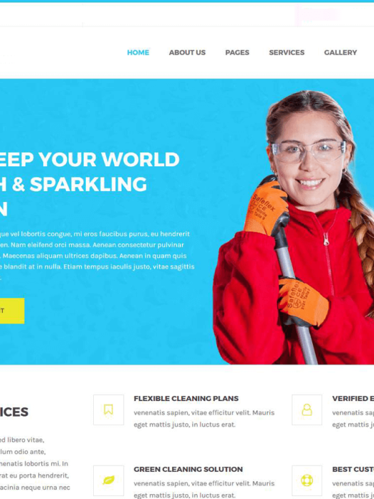 Cleaning Lite WordPress 主题