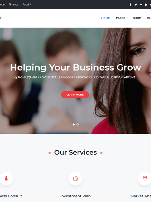 Business Aid WordPress 主题