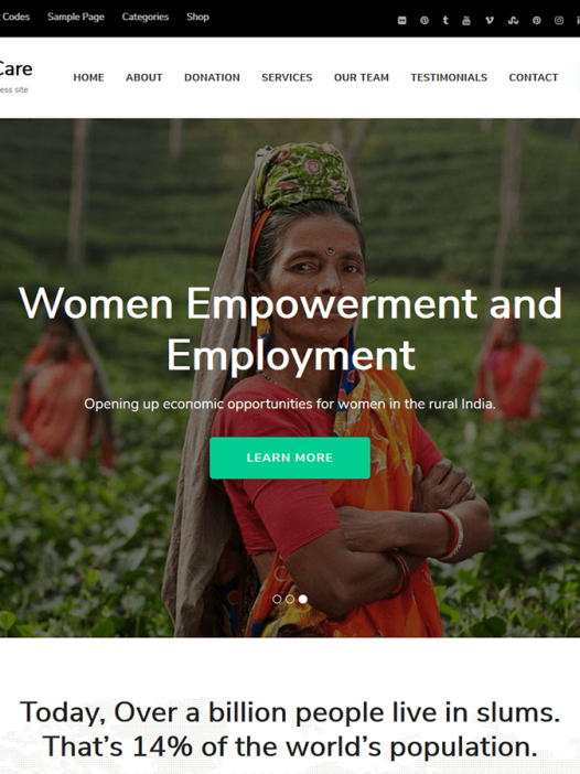 Charity Care WordPress 主题