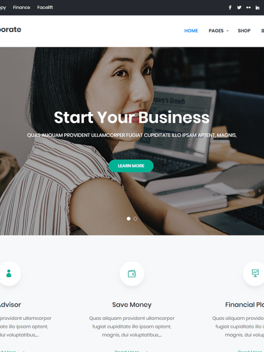 Businex Corporate WordPress 主题