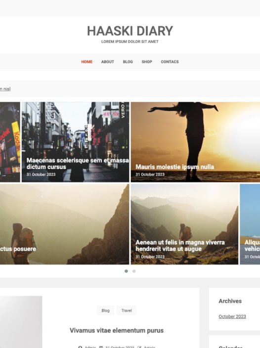 Haaski Diary WordPress 主题