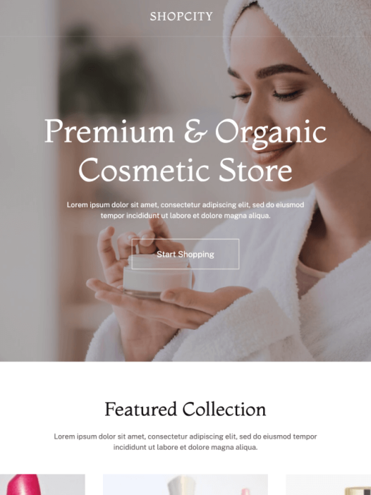 Shopcity WordPress 主题