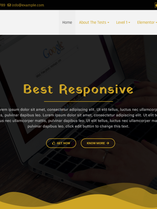 Best Responsive WordPress 主题