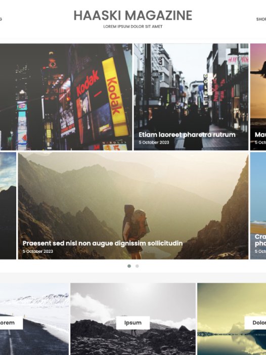 Haaski Magazine WordPress 主题