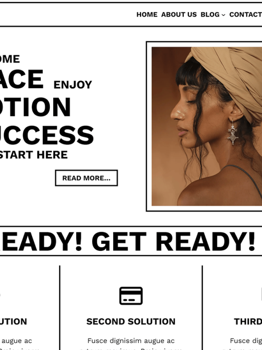 Hoopoe WordPress 主题