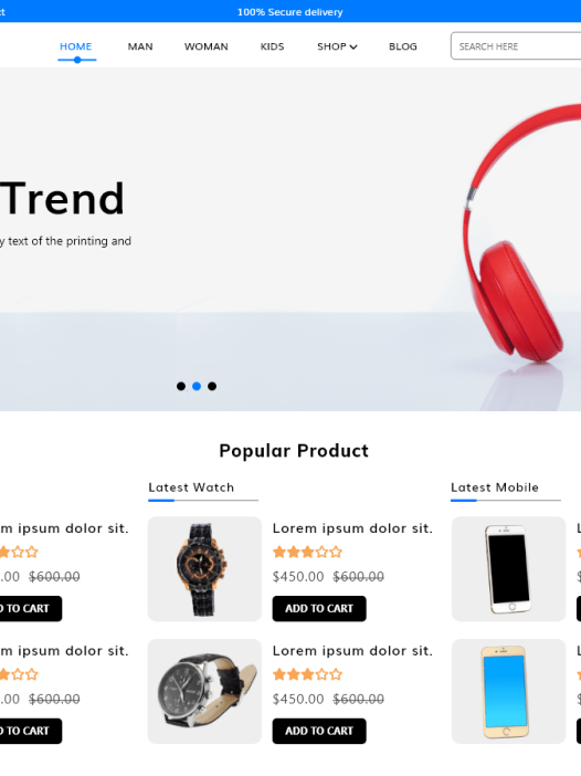 Ecommerce Store Elementor WordPress 主题