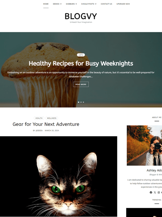 Blogvy WordPress 主题