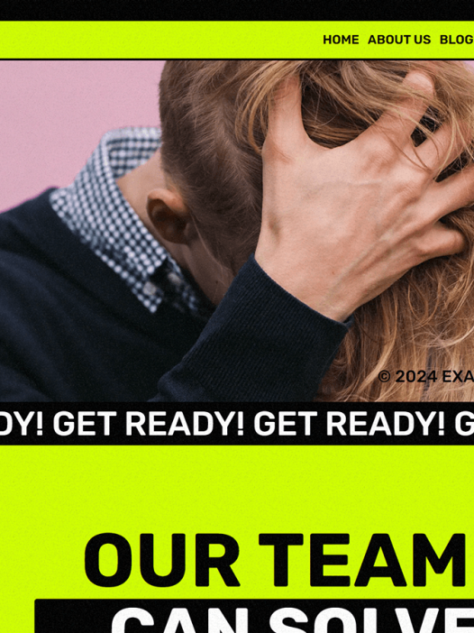 Chihuahua WordPress 主题