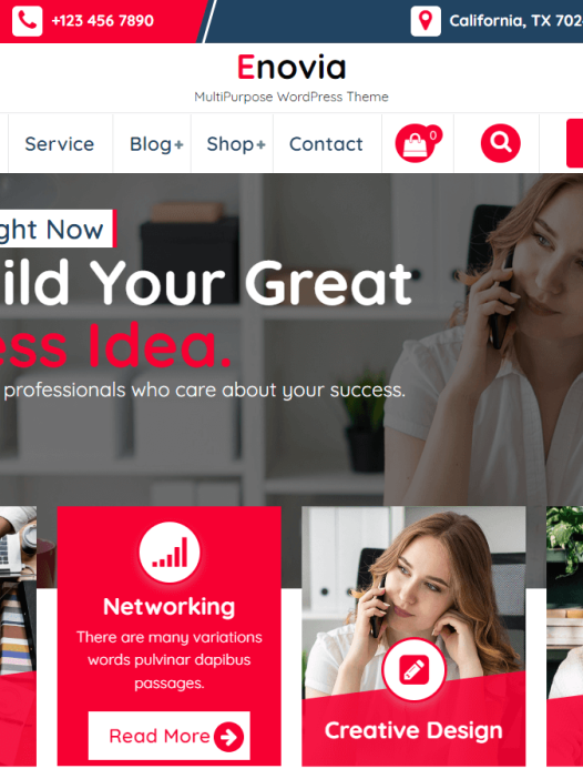 Enovia WordPress 主题