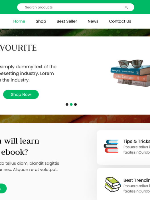 Ebooks Collection WordPress 主题