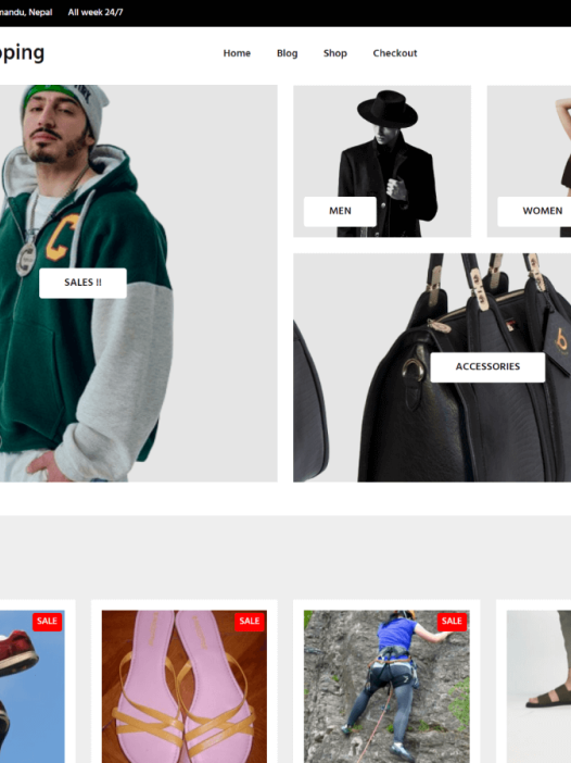 Online Shopping WordPress 主题