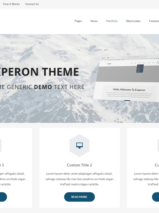 Experon Biz WordPress 主题