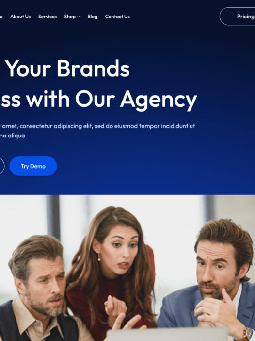 StartupOne WordPress 主题