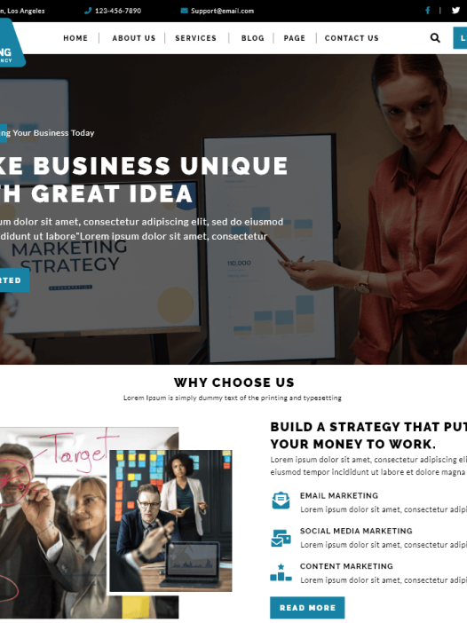 Alpha Marketing Agency WordPress 主题