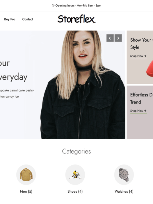 StoreFlex WordPress 主题