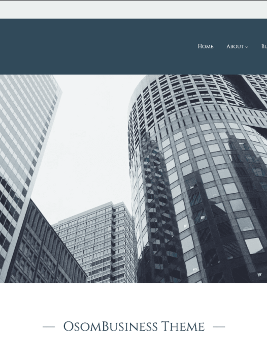 Osom Business WordPress 主题