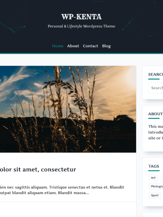 Kenta Writer Hub WordPress 主题