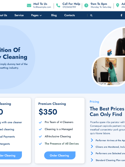 Handyman Cleaner WordPress 主题