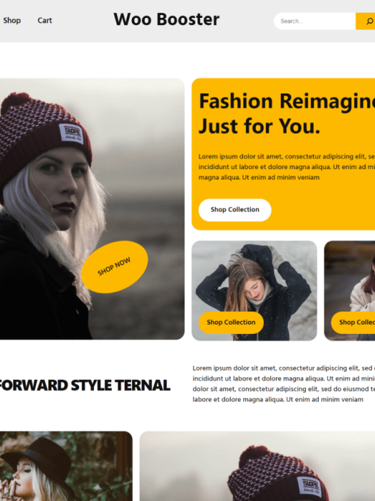 Woo Booster Fashion WordPress 主题